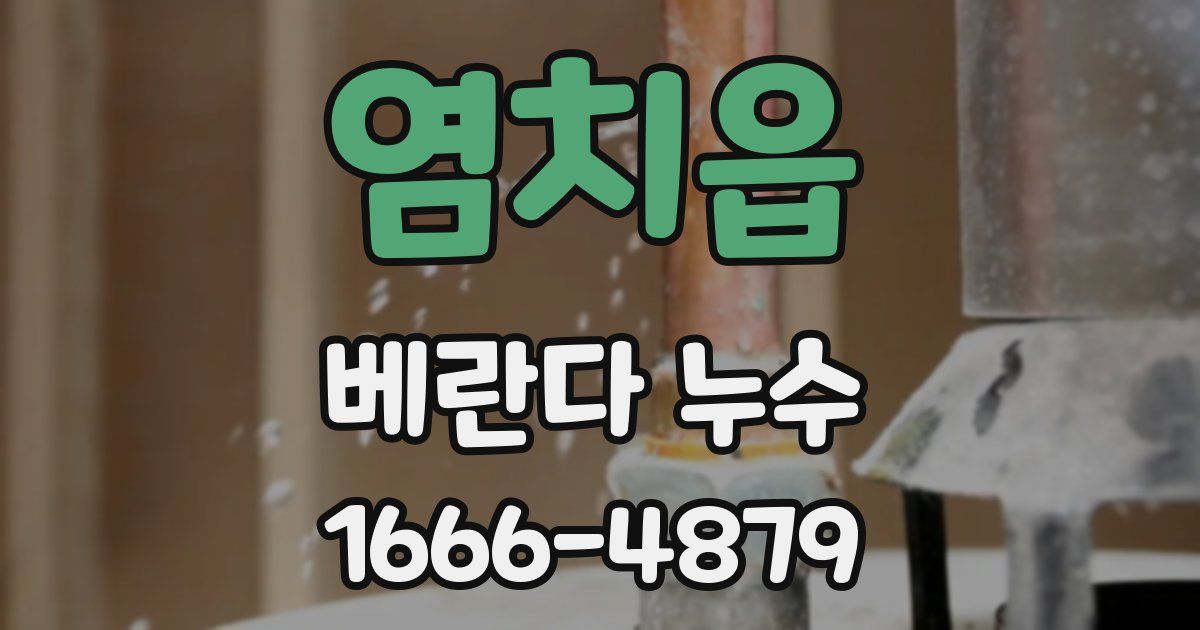 염치읍 베란다 누수