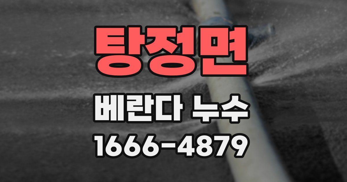탕정면 베란다 누수