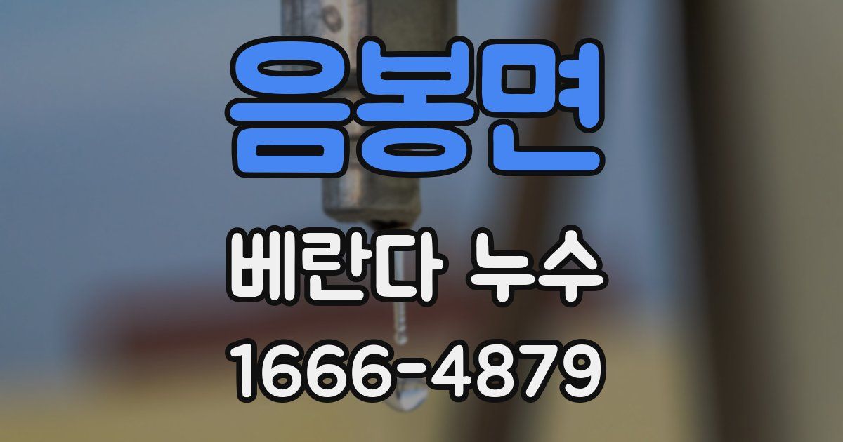 음봉면 베란다 누수