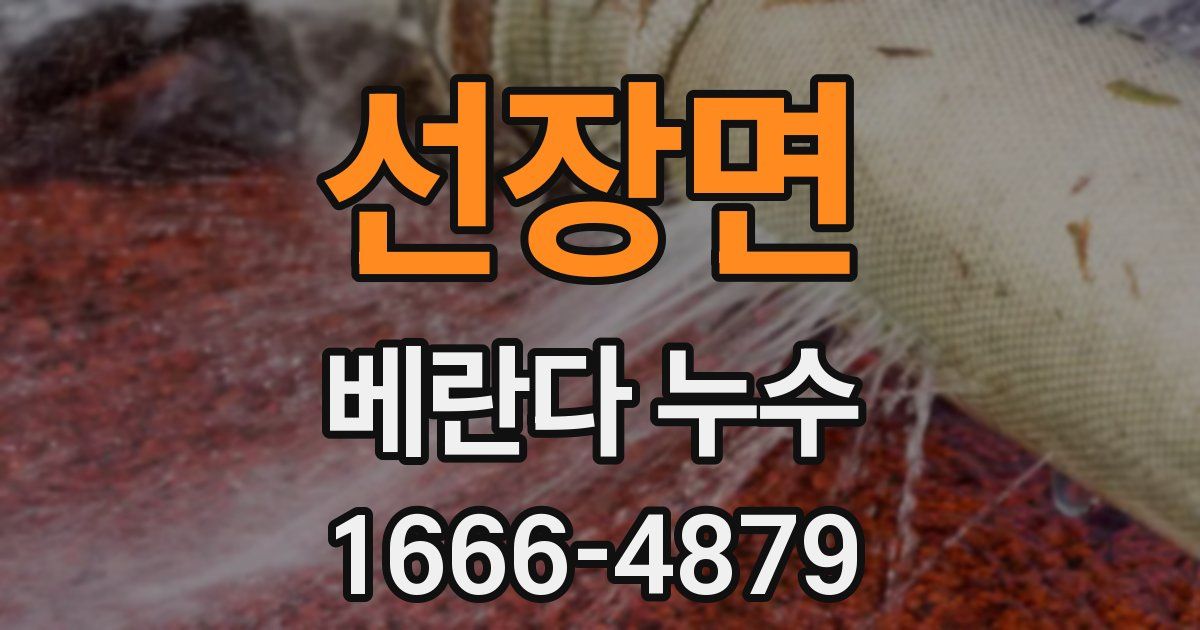 선장면 베란다 누수