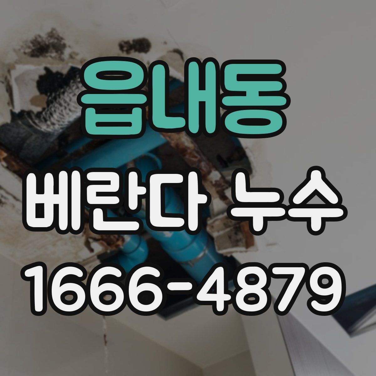 읍내동 베란다 누수