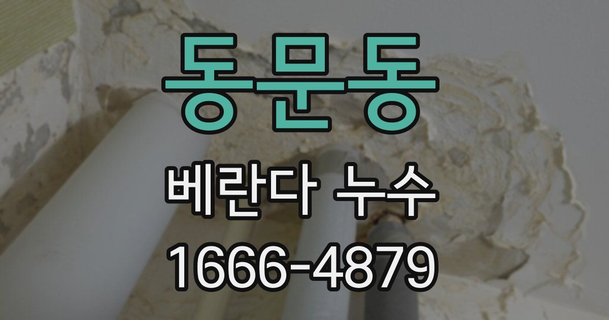 동문동 베란다 누수