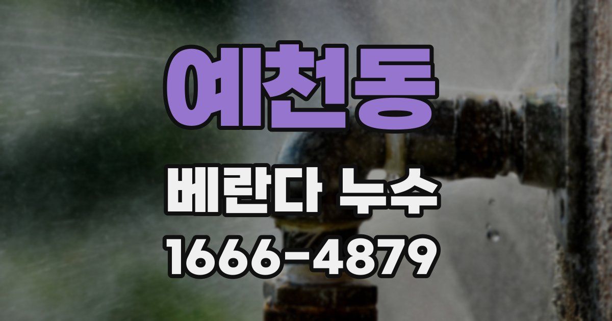 예천동 베란다 누수