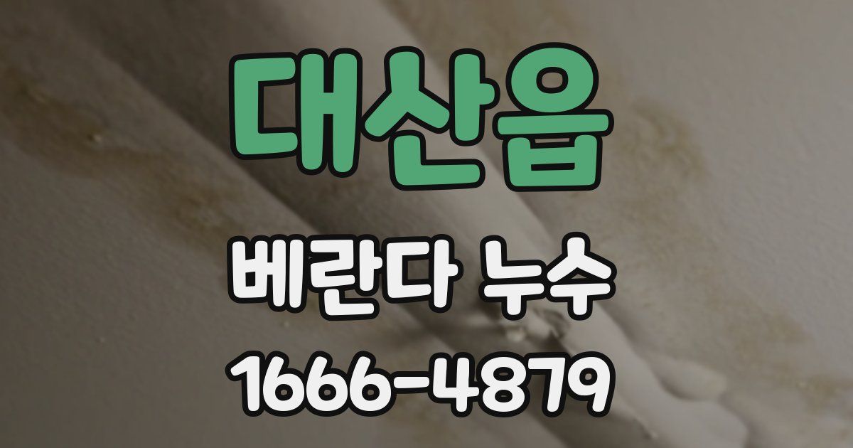 대산읍 베란다 누수