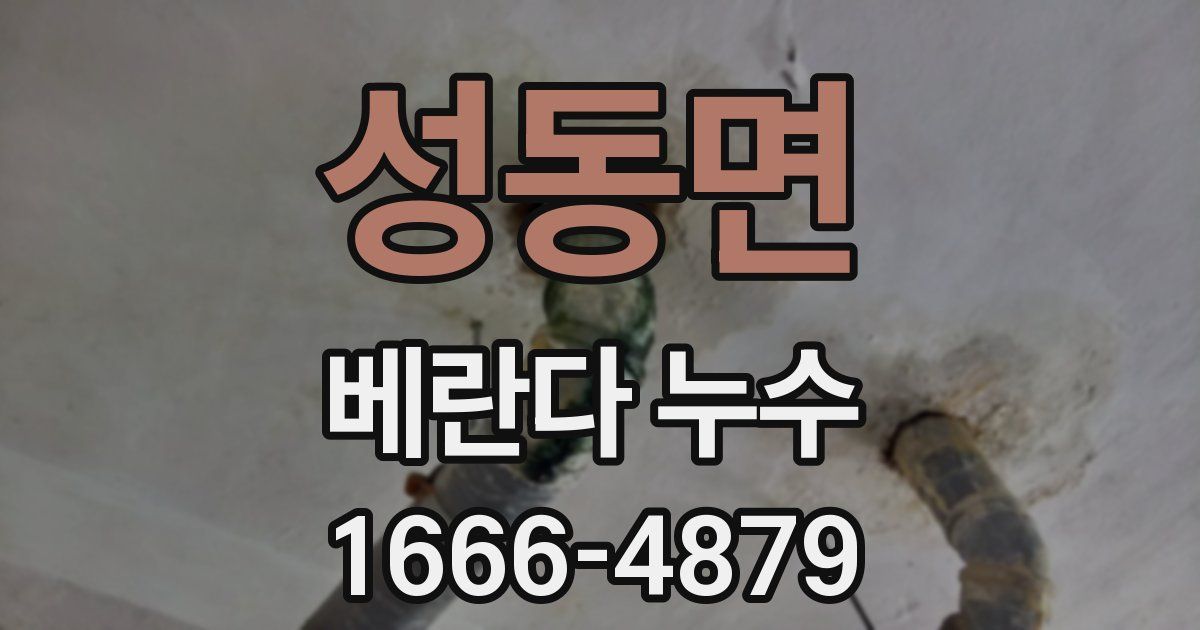성동면 베란다 누수