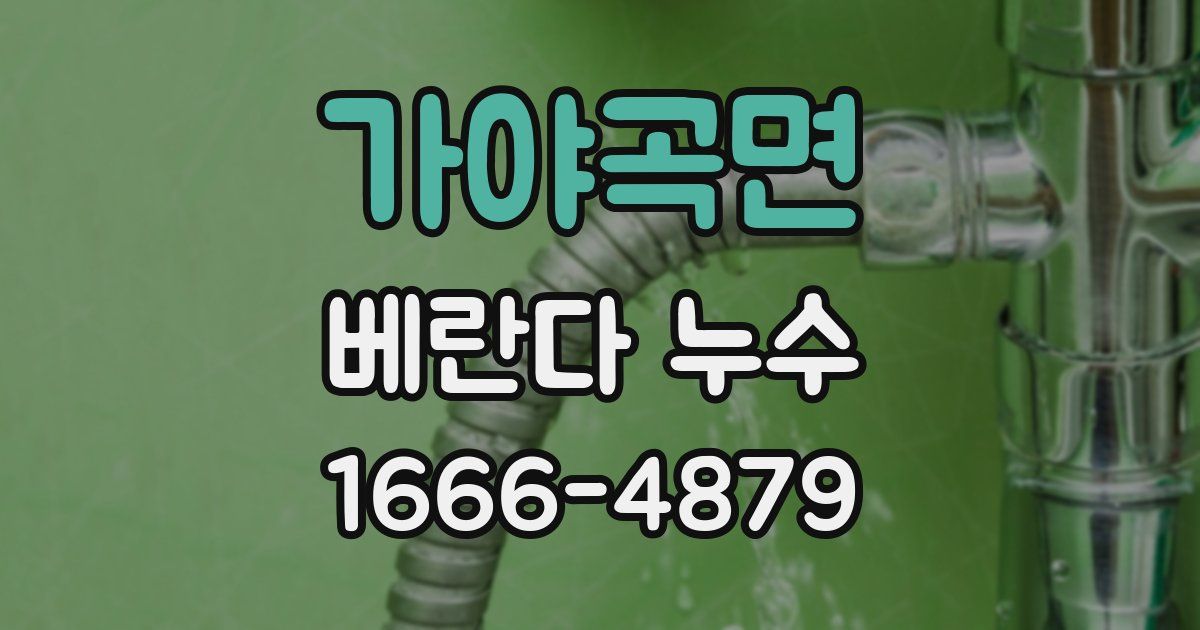 가야곡면 베란다 누수
