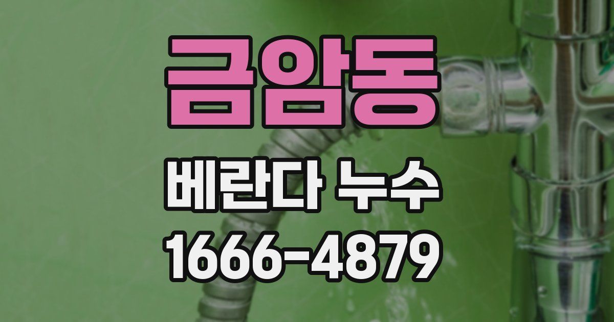금암동 베란다 누수