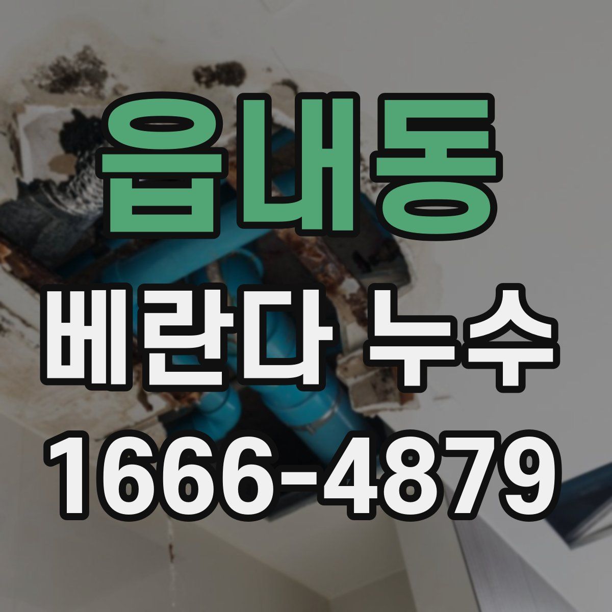 읍내동 베란다 누수