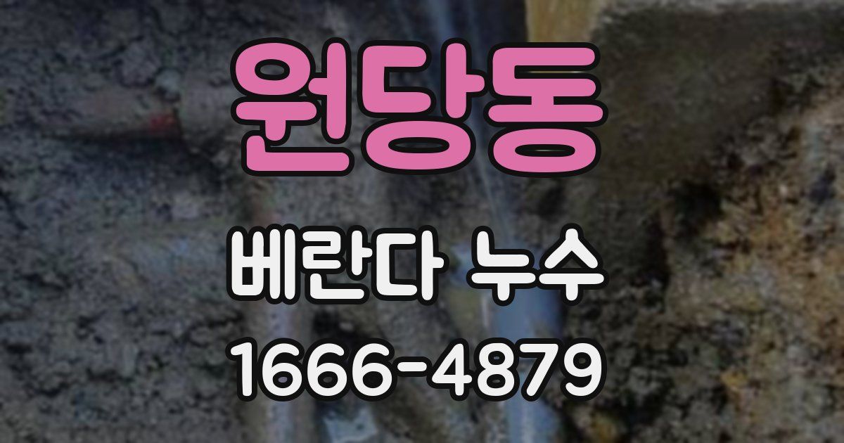 원당동 베란다 누수