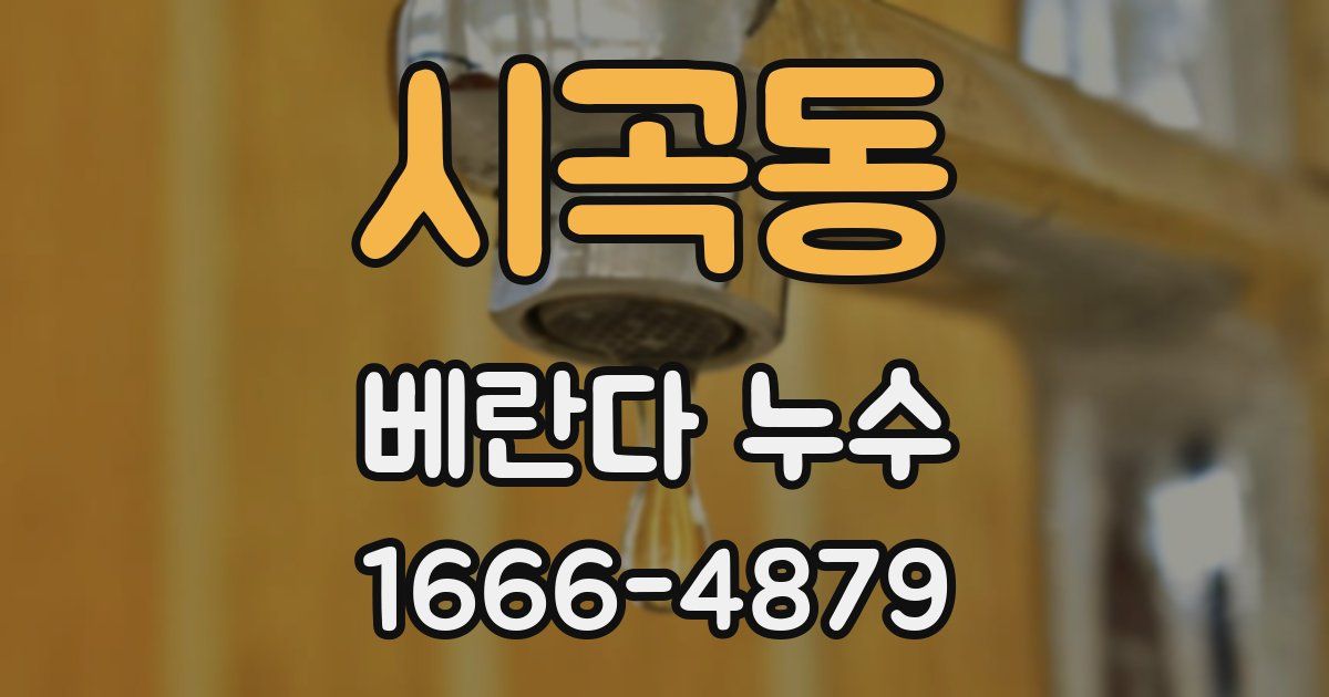 시곡동 베란다 누수