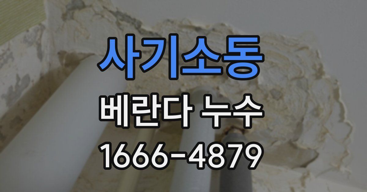 사기소동 베란다 누수