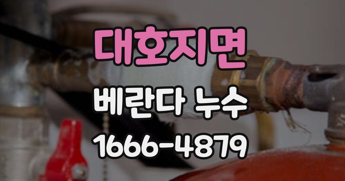 대호지면 베란다 누수