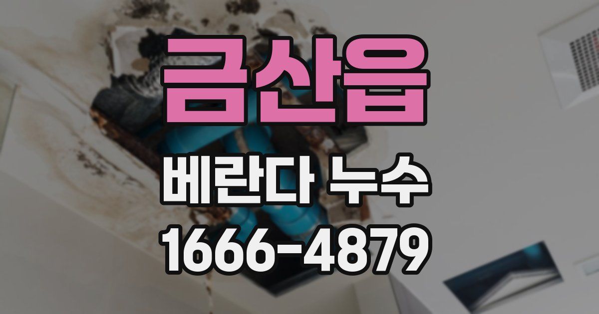 금산읍 베란다 누수