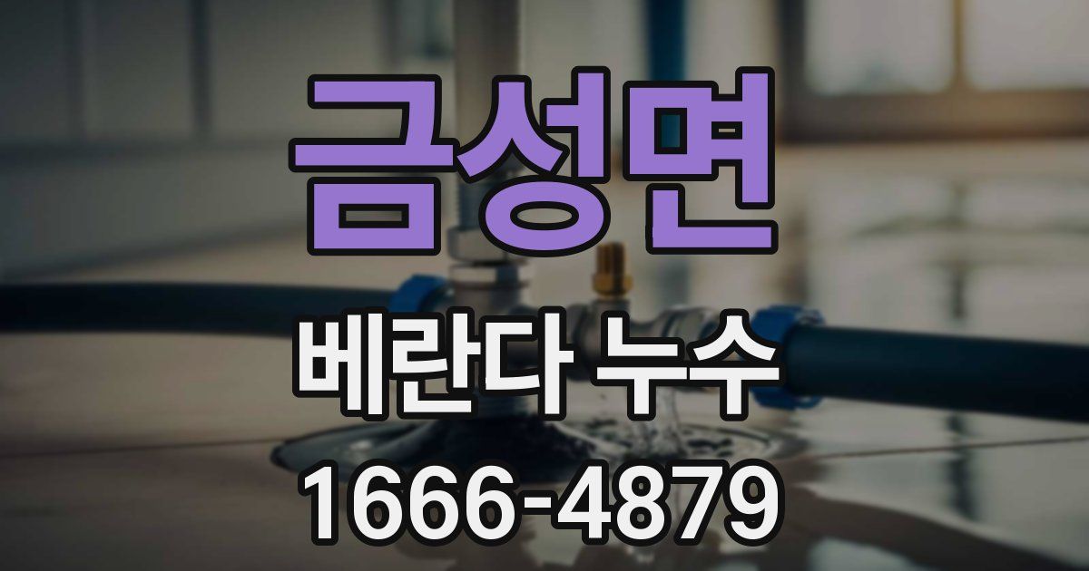 금성면 베란다 누수