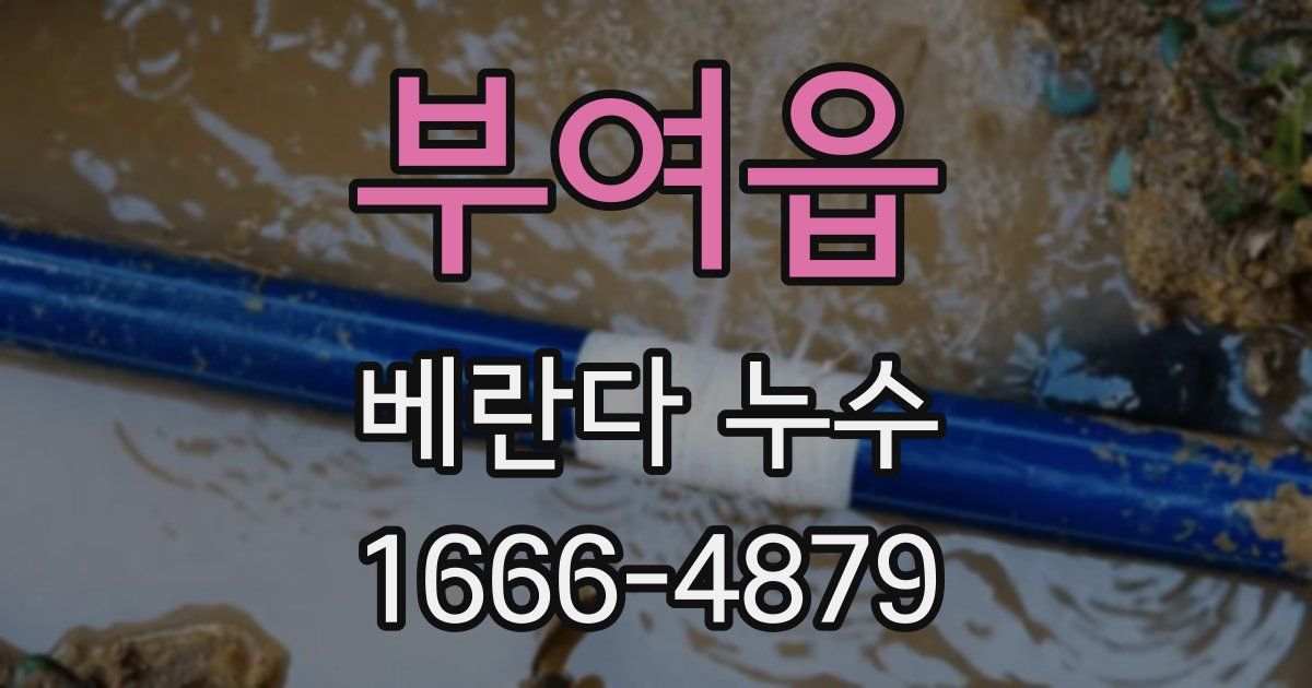 부여읍 베란다 누수
