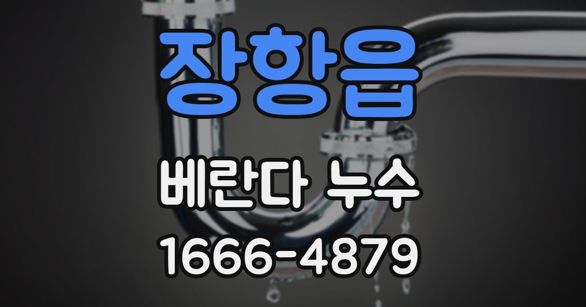 장항읍 베란다 누수