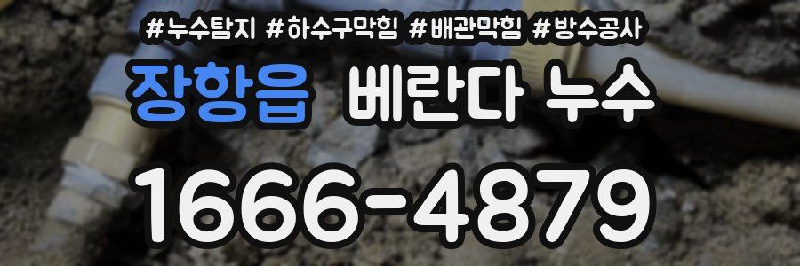 장항읍 베란다 누수