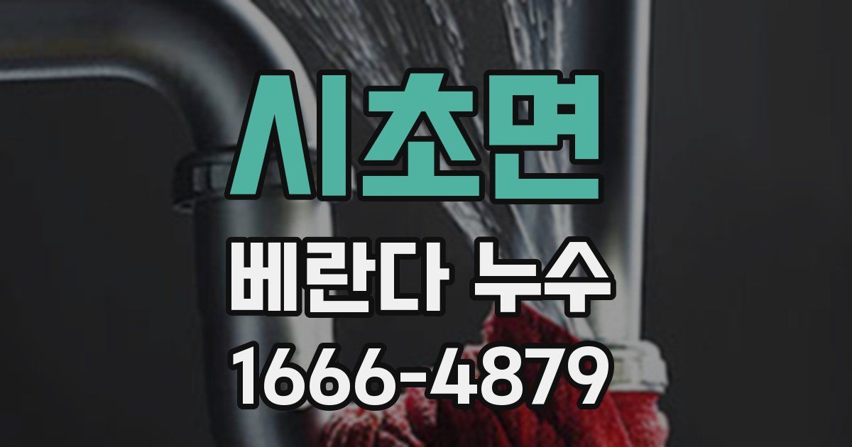 시초면 베란다 누수
