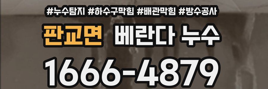 판교면 베란다 누수