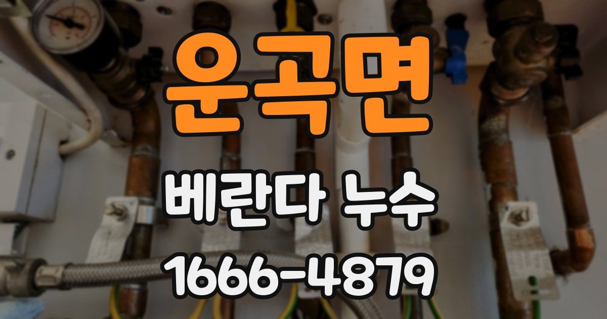 운곡면 베란다 누수