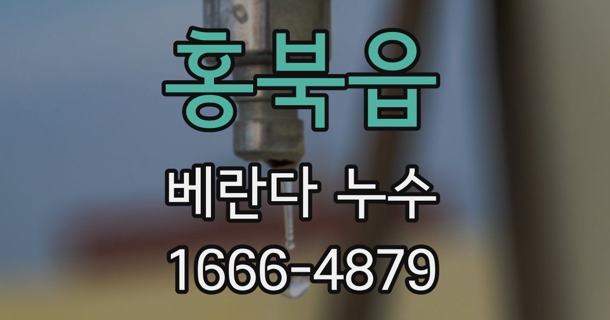 홍북읍 베란다 누수