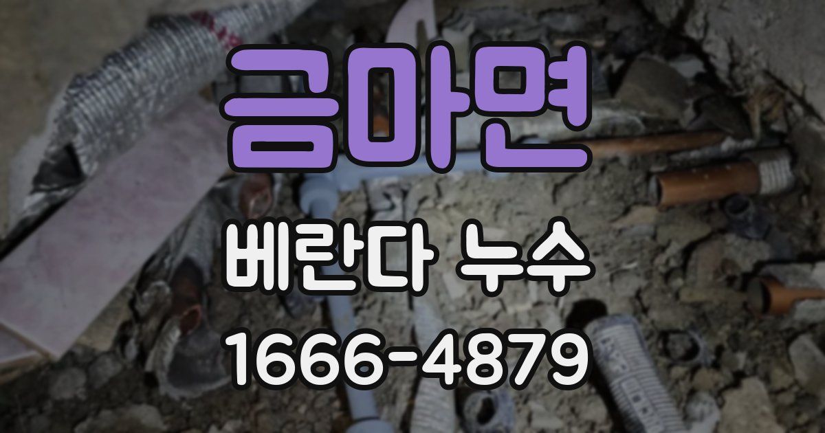 금마면 베란다 누수