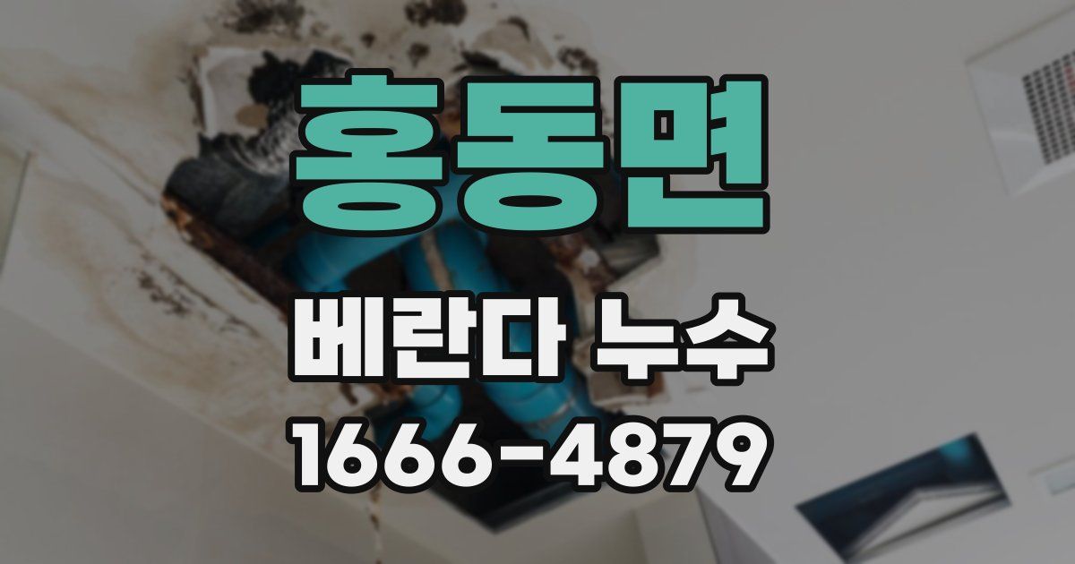 홍동면 베란다 누수