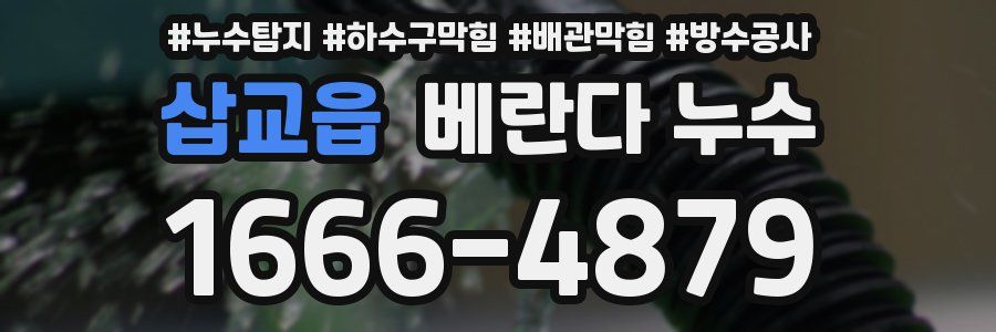 삽교읍 베란다 누수