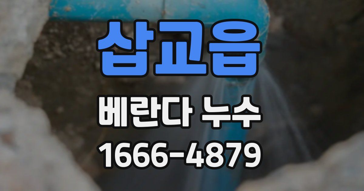 삽교읍 베란다 누수