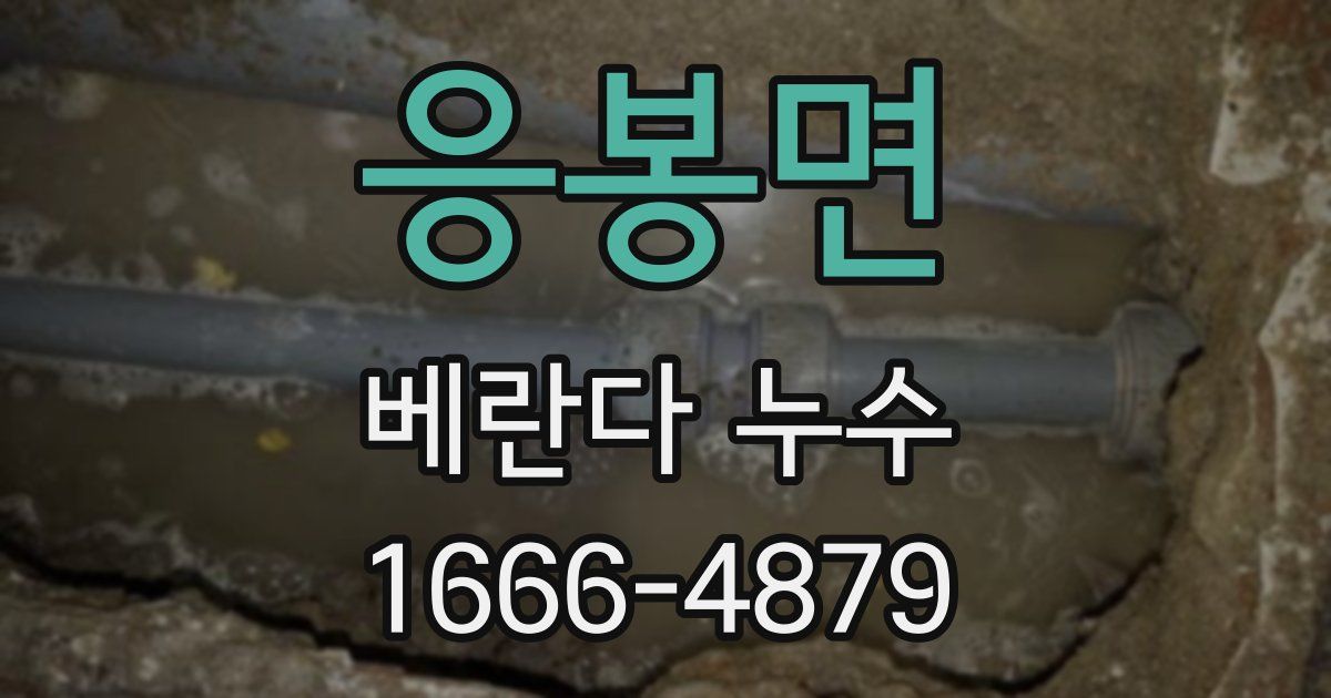 응봉면 베란다 누수