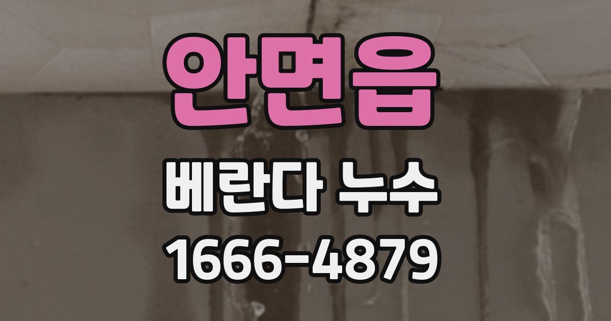 안면읍 베란다 누수