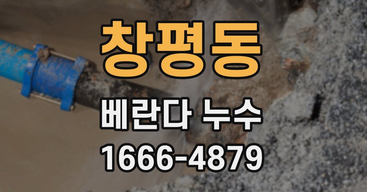 창평동 베란다 누수