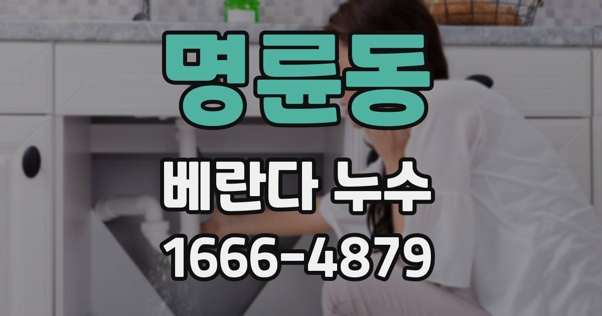 명륜동 베란다 누수