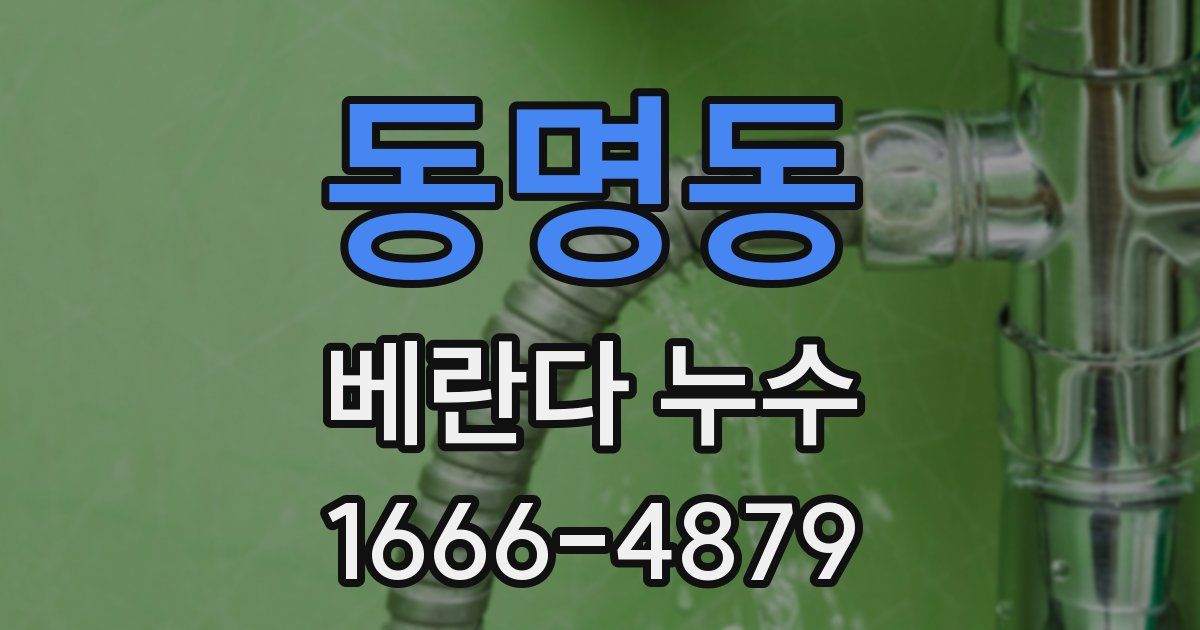 동명동 베란다 누수