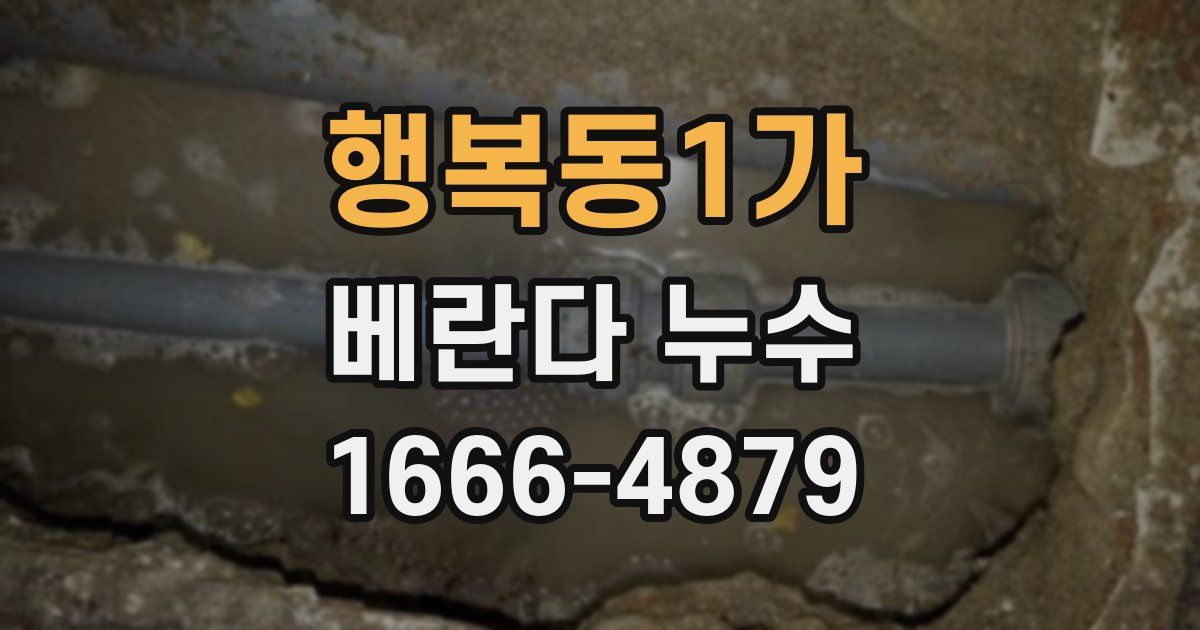 행복동1가 베란다 누수