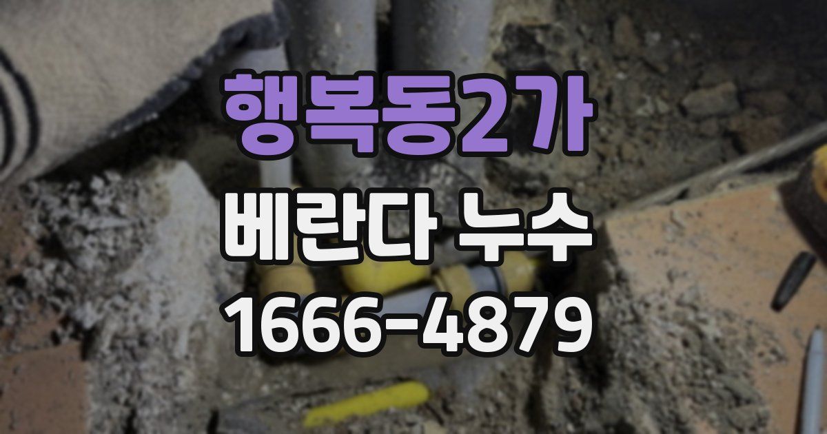행복동2가 베란다 누수