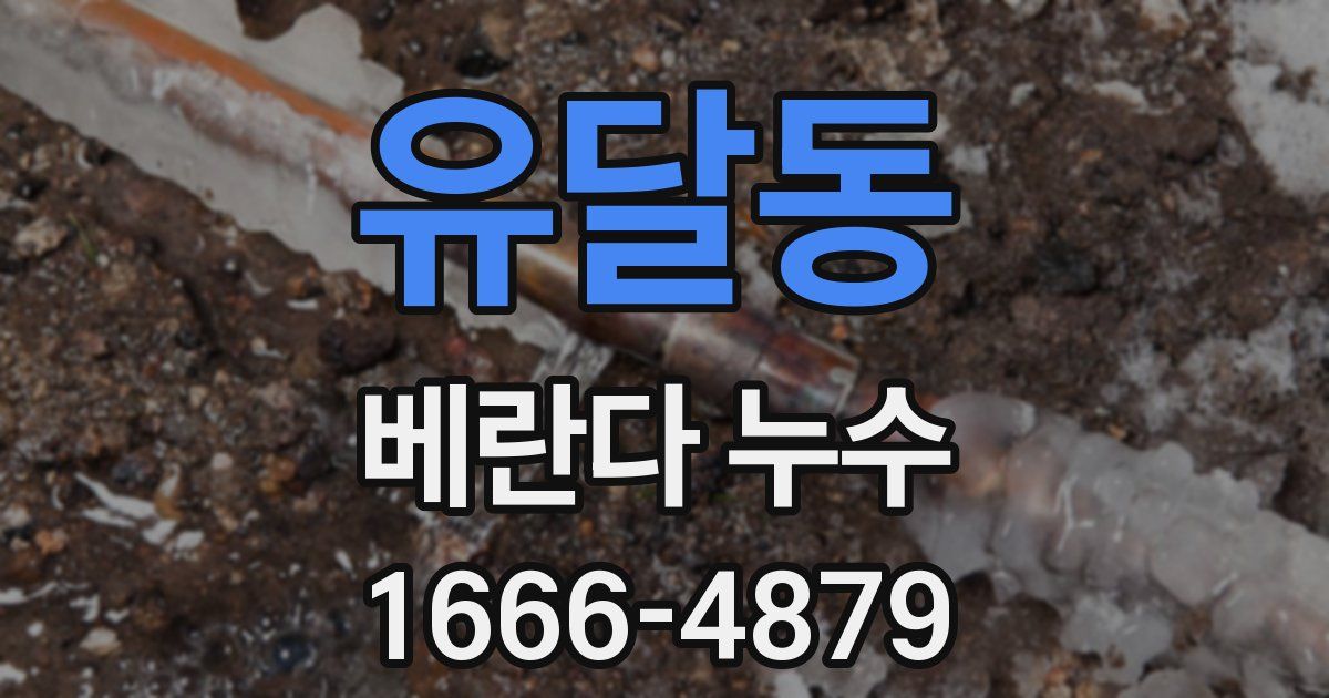 유달동 베란다 누수