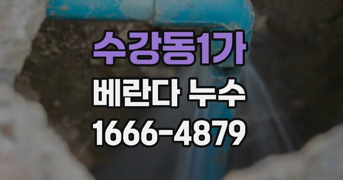 수강동1가 베란다 누수