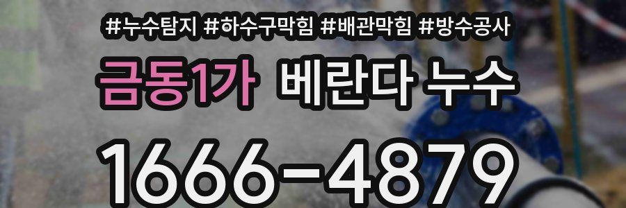 금동1가 베란다 누수