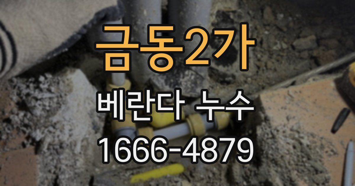 금동2가 베란다 누수