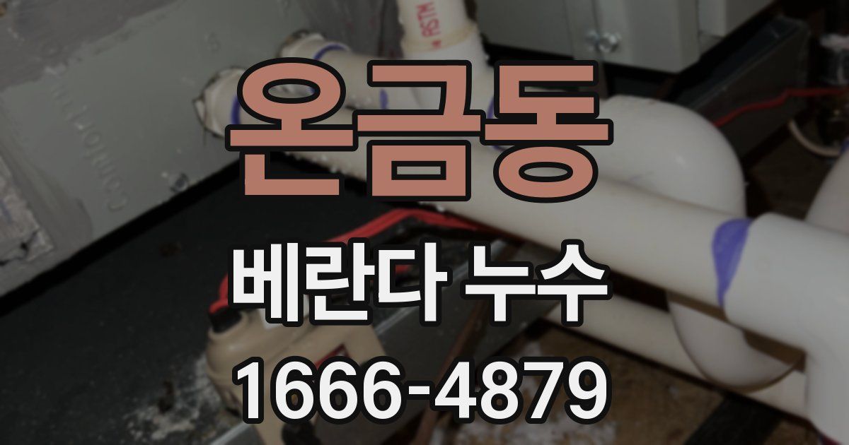 온금동 베란다 누수
