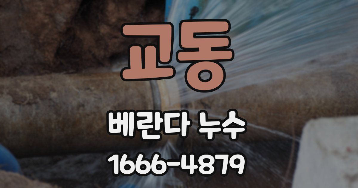 교동 베란다 누수