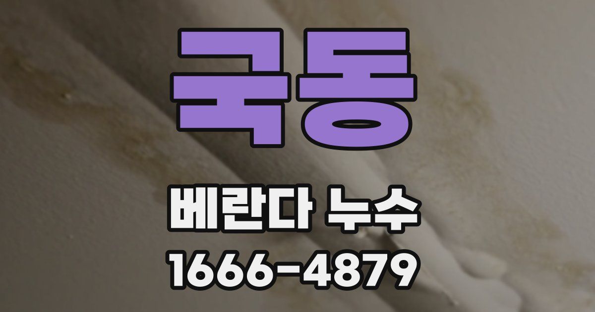 국동 베란다 누수