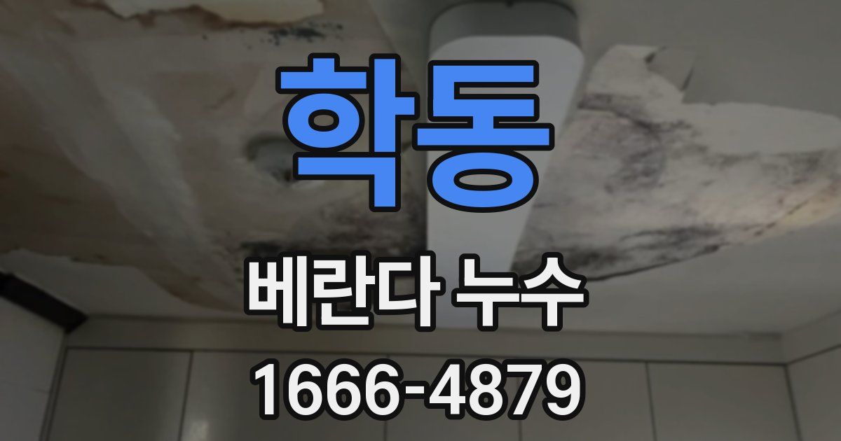 학동 베란다 누수