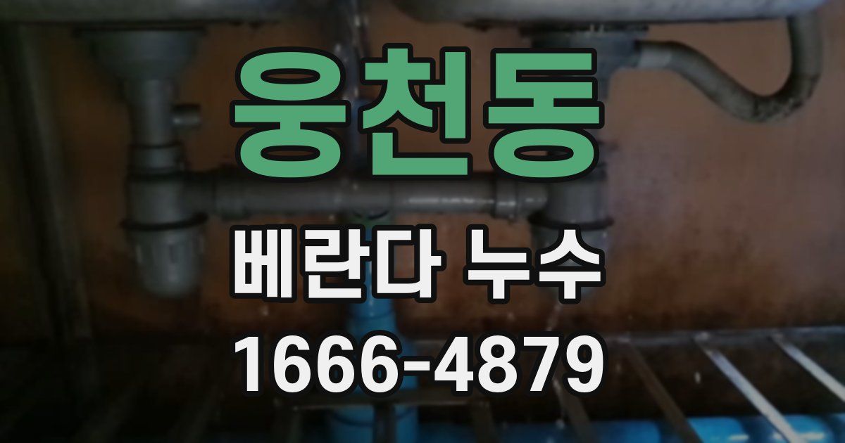 웅천동 베란다 누수