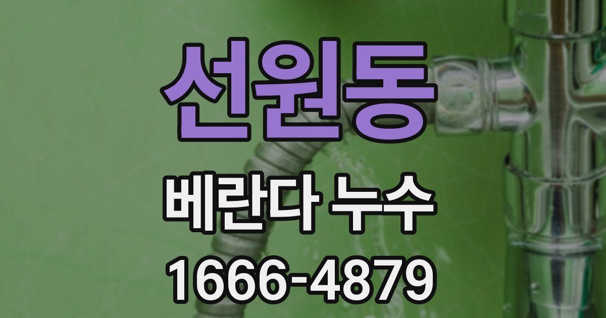 선원동 베란다 누수