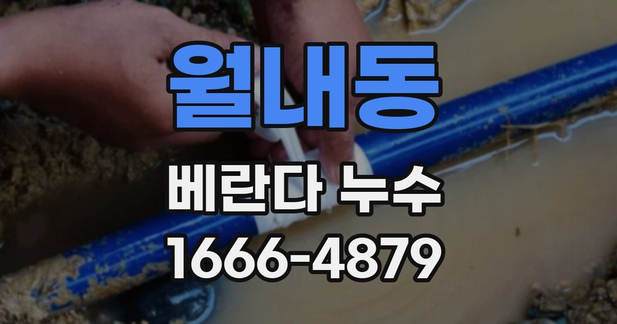 월내동 베란다 누수