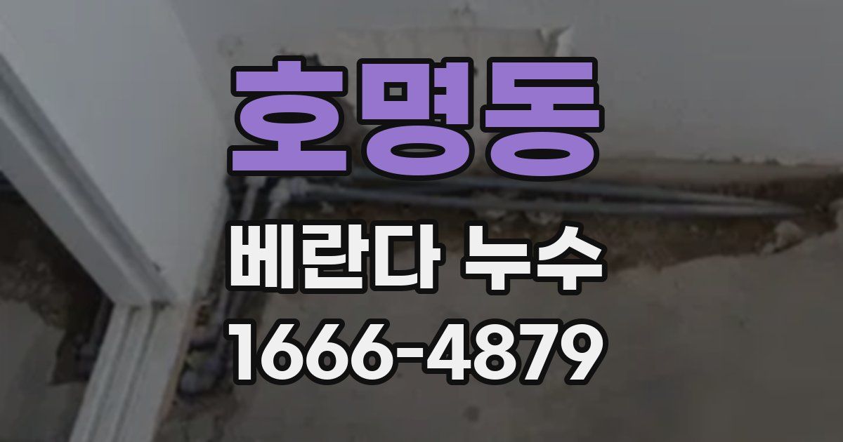 호명동 베란다 누수