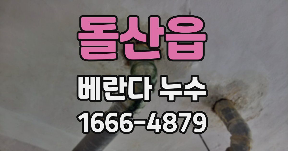 돌산읍 베란다 누수