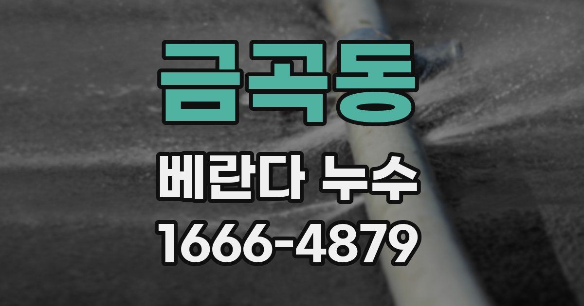 금곡동 베란다 누수